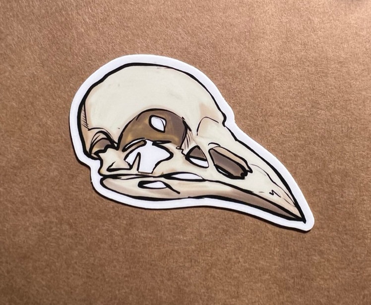 Bird Skull Sticker