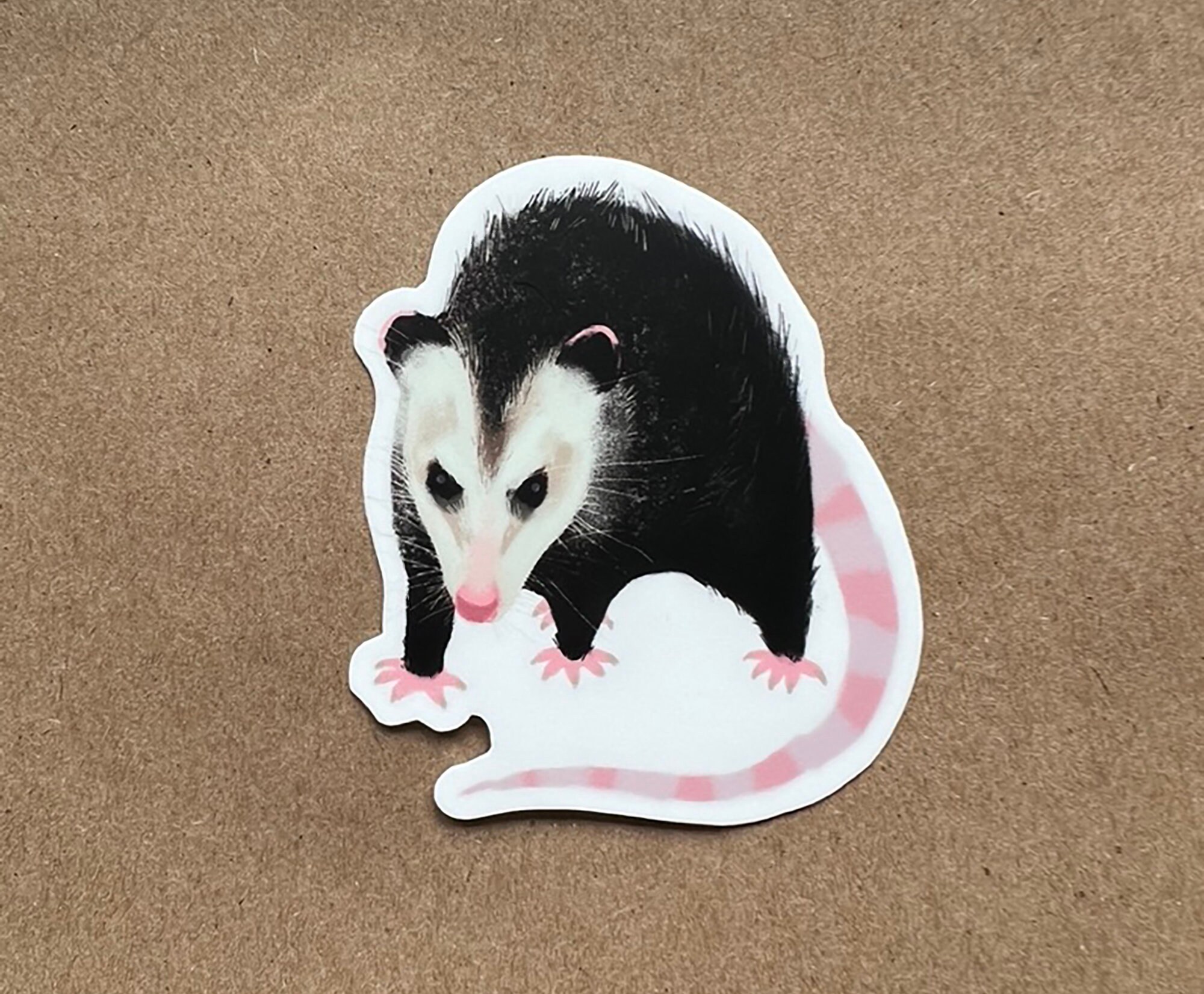 City Critter Opossum Sticker Vinyl