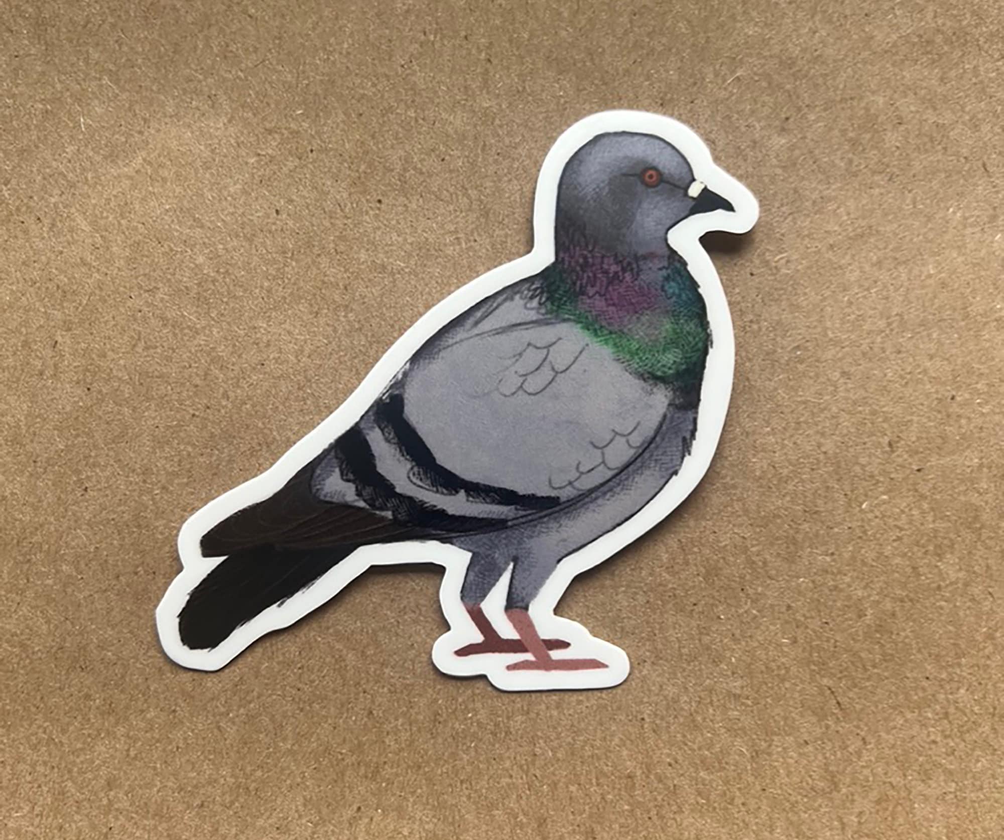 City Critter Pigeon Sticker Vinyl