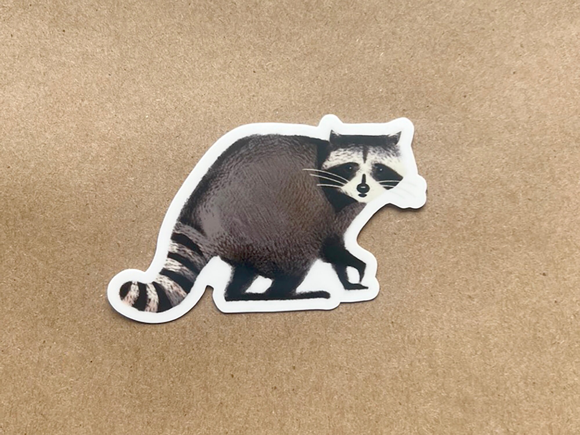City Critter Raccoon Sticker Vinyl