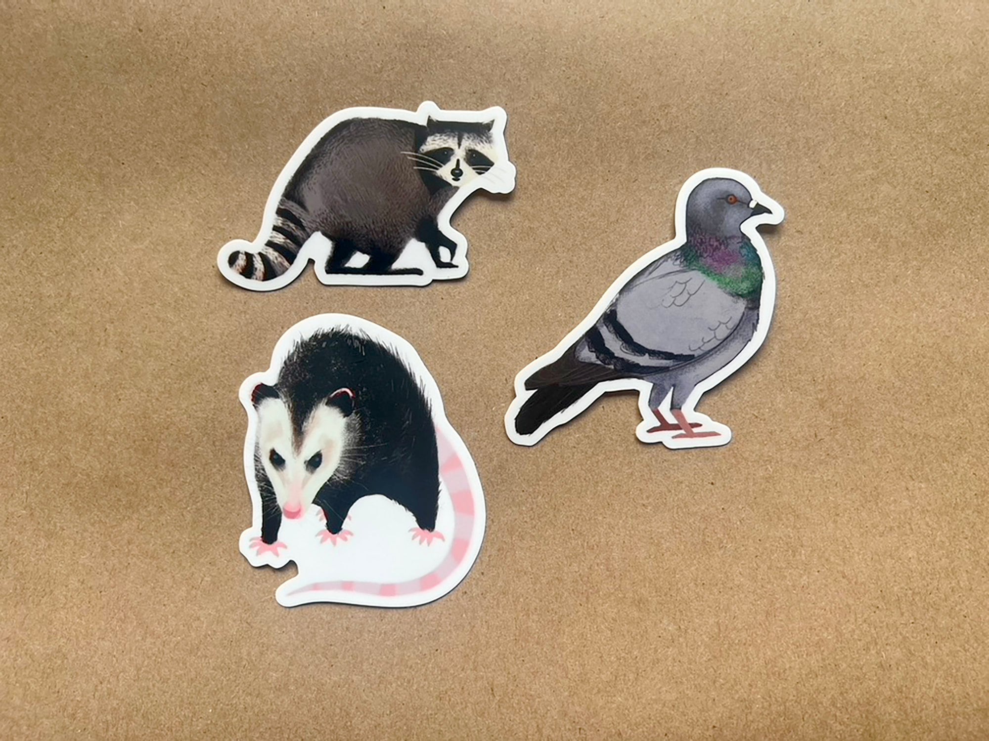 Trio of City Critters Urban Wildlife